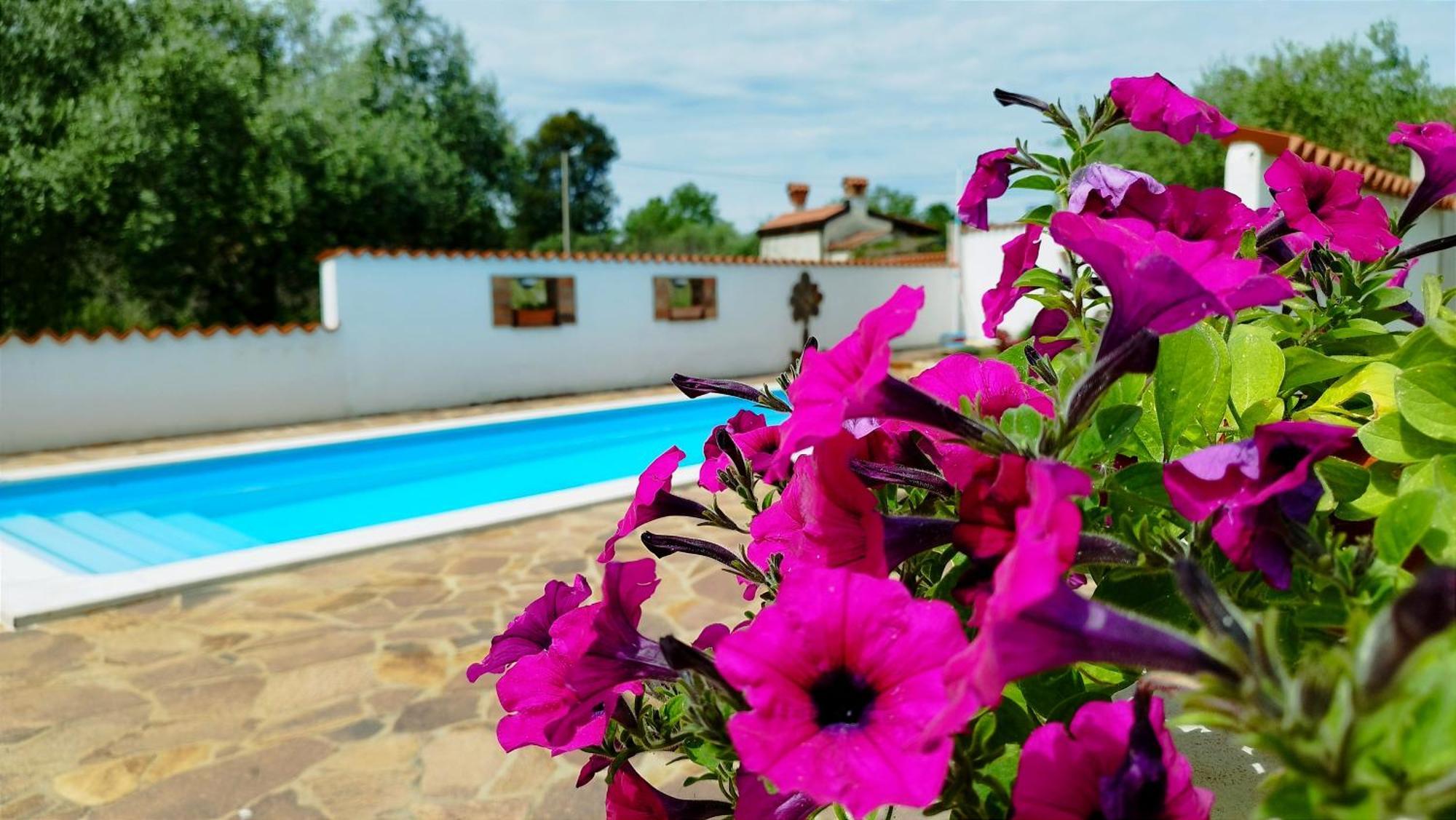 Villa "Pied-A-Terre" Residence & Spa Umag Eksteriør billede